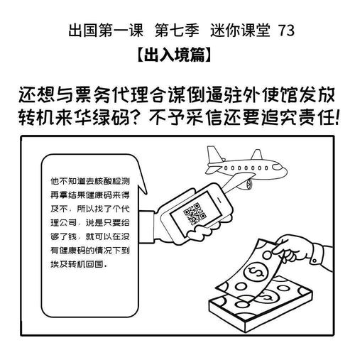 倒逼駐外使館發(fā)放綠碼？票務(wù)代理合作風(fēng)險與責(zé)任追究警示